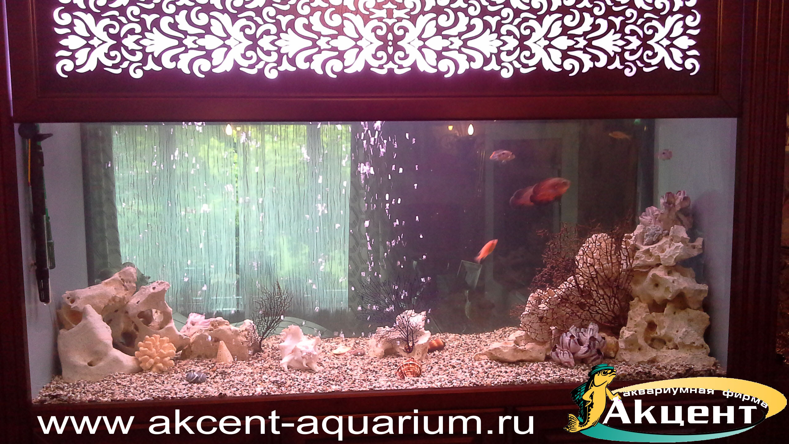 Акцент-аквариум,аквариум просмотровый 1000 литров встроенный в стену, кенийский камень, набор декоративных кораллов